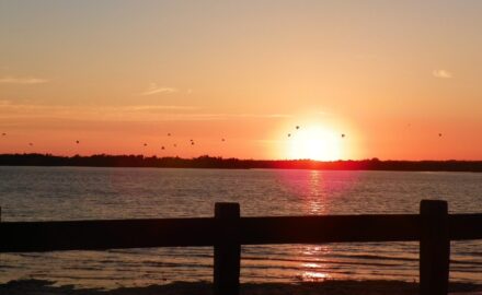 Sunset in Buenaventura. (Image credit: Jose Fernando Lopez)