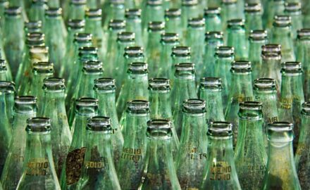 Many empty bottles lined up in rows.