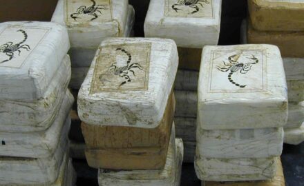 Cocaine bricks seized by the US Drug Enforcement Agency (DEA). (Photo credit: DEA)