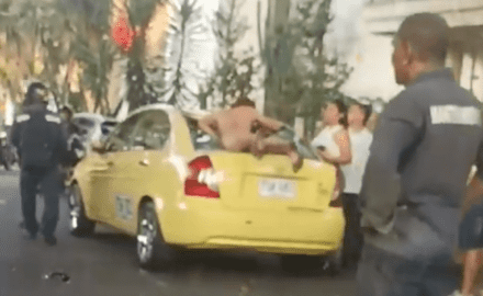 Authorities were unable to ascertain why the naked foreigner decided to climb the tree over a busy intersection. (Photo: Twitter)