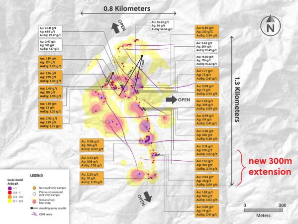Plan View of The Box Target as Defined by Soil Anomalies, Rock Chip Samples and Surface Geology Mapping with New Assay Results