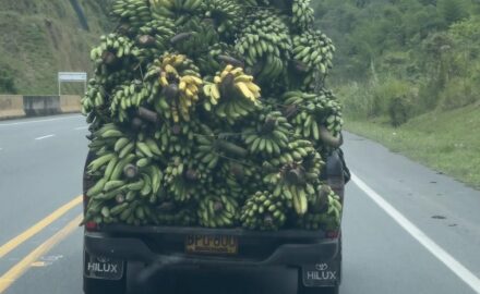 A banana truck in Caldas, Colombia (Photo: Loren Moss)
