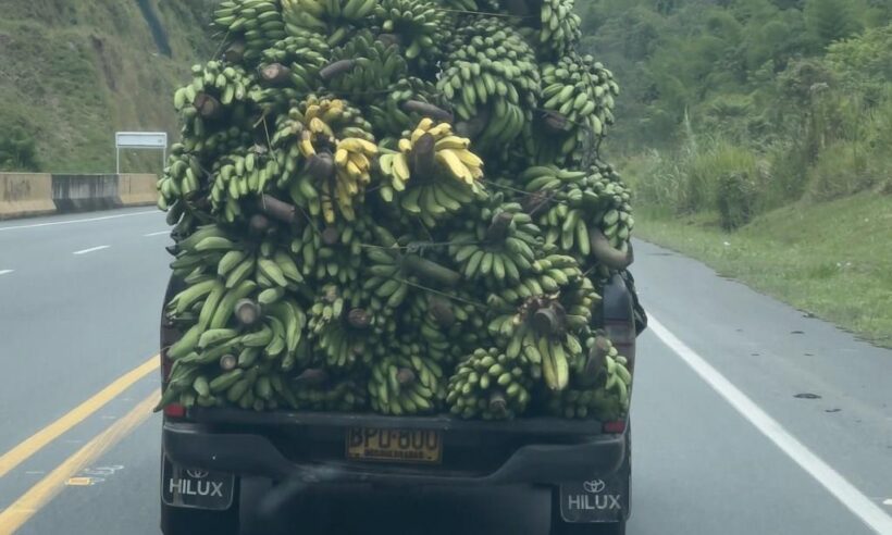 A banana truck in Caldas, Colombia (Photo: Loren Moss)
