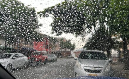 Rainy day - photo: Loren Moss