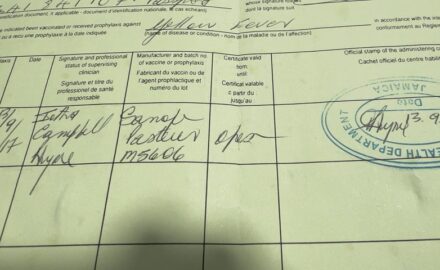 Yellow Fever - Photo © Loren Moss