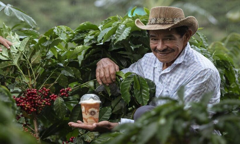 Coffee farmer.