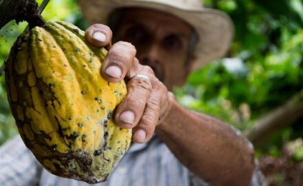 Cocoa Colombia.