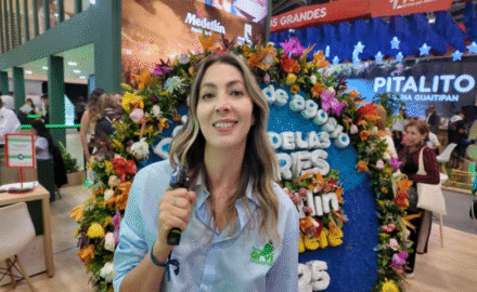 Parque Arvi interview.