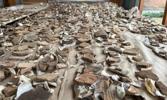 Medellín's Arví Park.