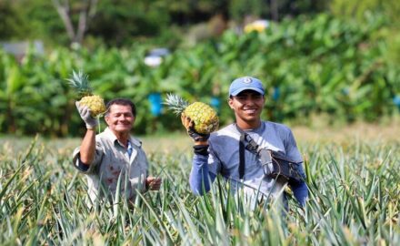 Colombia Agriculture.