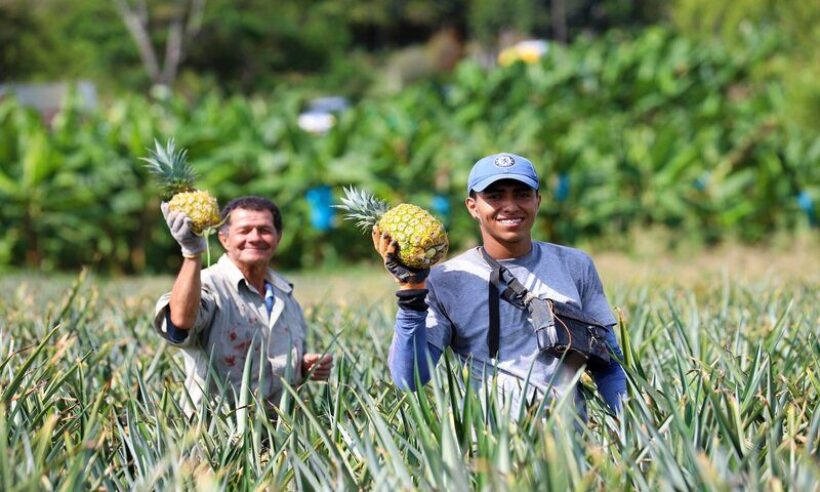 Colombia Agriculture.