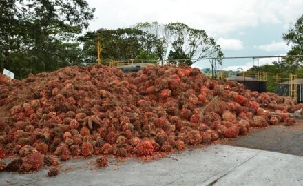 Agricultural and Agro-Industrial exports.