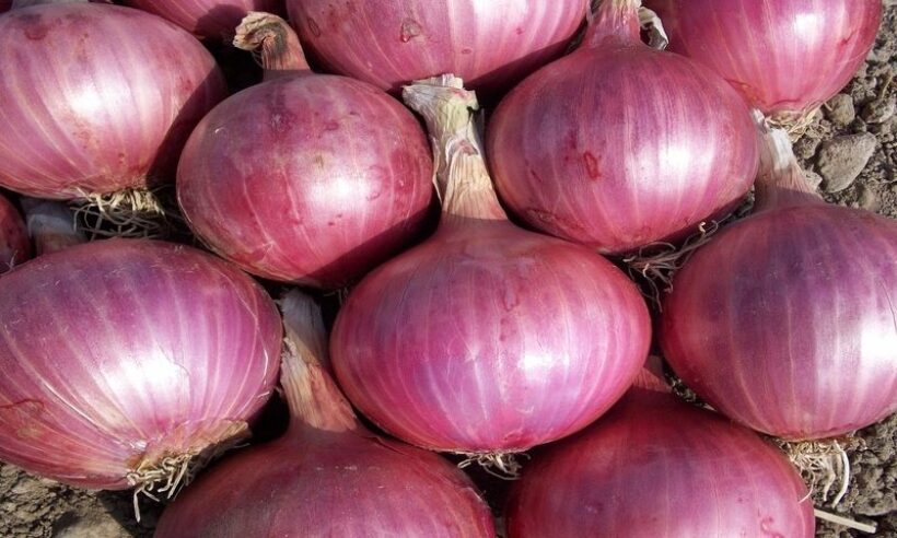 Onions.