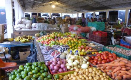 Farmer's Market in Marinilla, Colombia (photo © Loren Moss)