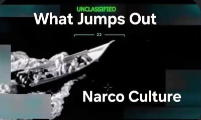 Rupert Stebbings Narco Culture