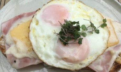 Eggs Photo © Loren Moss