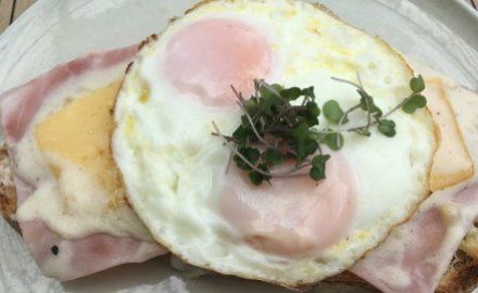 Eggs Photo © Loren Moss