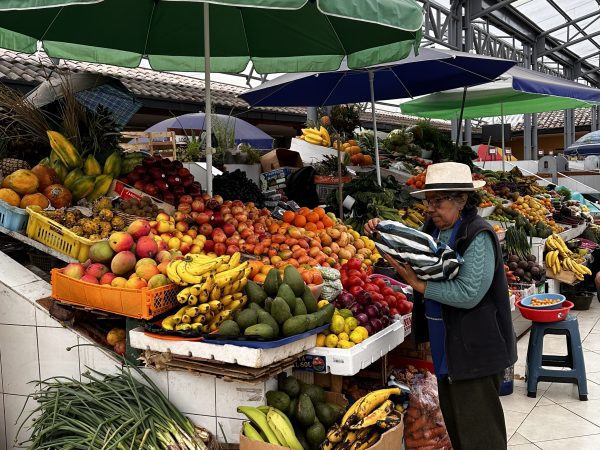 The Central Market in Tulcán, Ecuador, near the Colombian border, one of the most affected areas by the new tariffs. (photo: Jadin Samit Vergara)