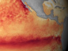 Satellite sea surface temperature departure in the Pacific Ocean for the month of October 2015, where darker orange-red colors are above normal temperatures and are indicative of El Niño. (Image credit: NOAA)