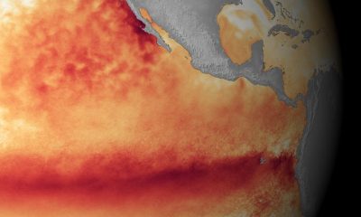 Satellite sea surface temperature departure in the Pacific Ocean for the month of October 2015, where darker orange-red colors are above normal temperatures and are indicative of El Niño. (Image credit: NOAA)