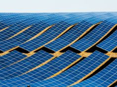 Image by Grégory ROOSE from Pixabay