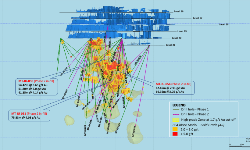 Longitudinal section of MZ Zone