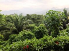 Photo: Sierra Nevada de Santa Marta © Loren Moss