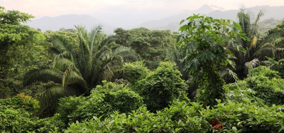 Photo: Sierra Nevada de Santa Marta © Loren Moss