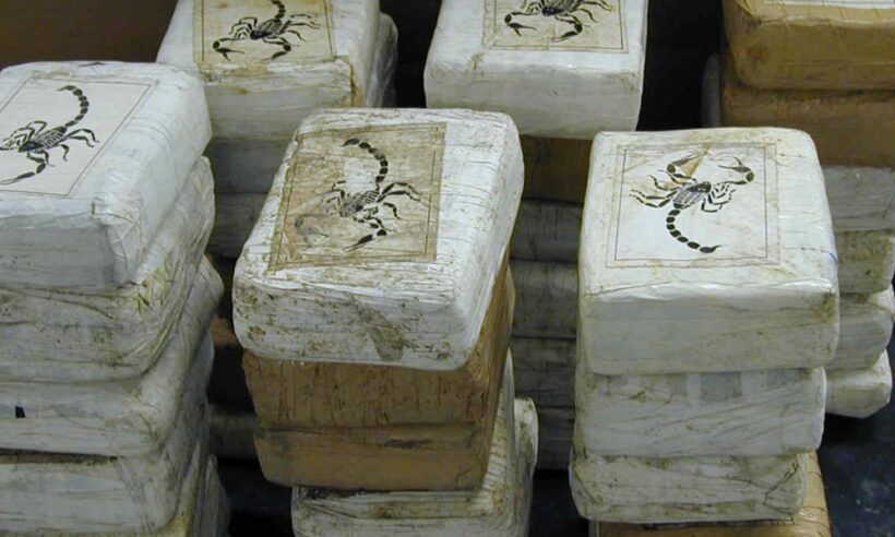 Cocaine bricks seized by the US Drug Enforcement Agency (DEA). (Photo credit: DEA)