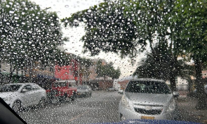 Rainy day - photo: Loren Moss