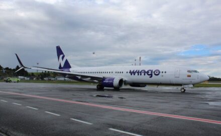 Wingo