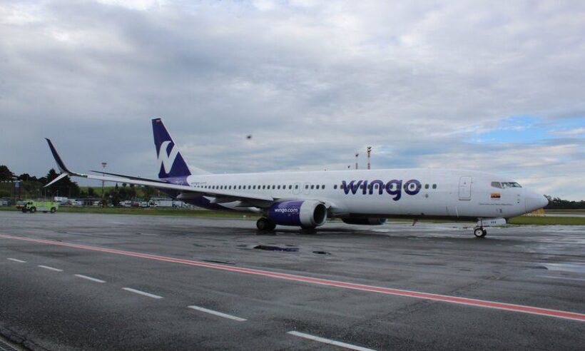 Wingo