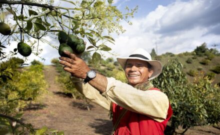 farmworker