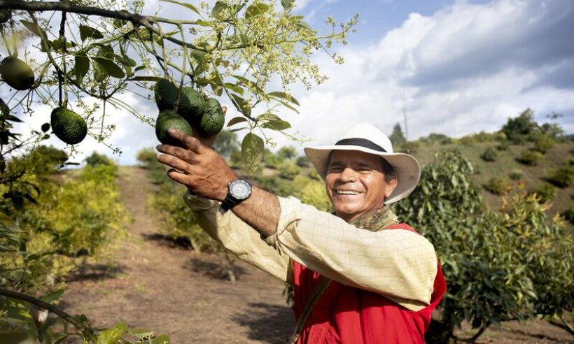 farmworker
