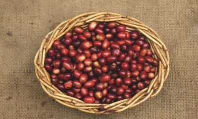 Coffee beans.