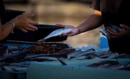 Fish market.