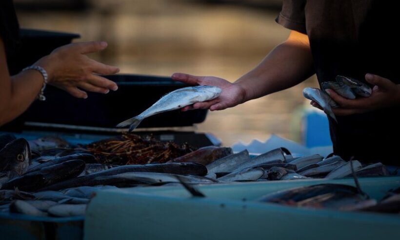 Fish market.