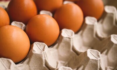 Eggs.