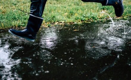 Rain.
