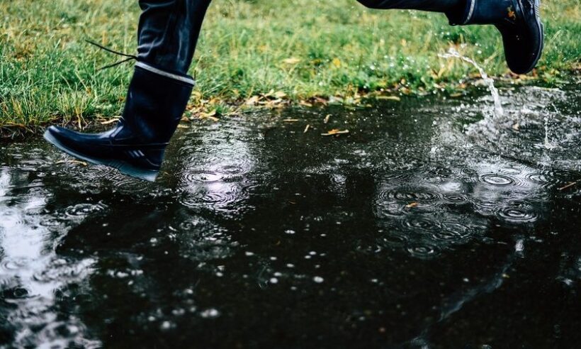 Rain.