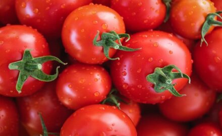Tomatoes.