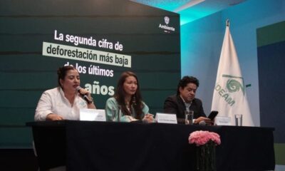 Minambiente.