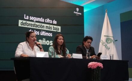 Minambiente.