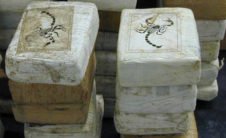 Cocaine bricks.