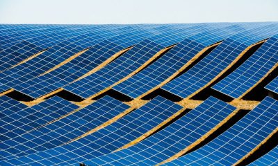 Image by Grégory ROOSE from Pixabay