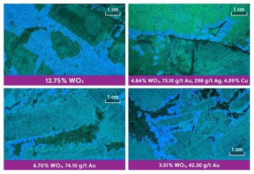 Fig 3 (UV core photos): coarse scheelite from APC-162, select sample grades up to 12.75% WO3 and one interval 4.84% WO3, 73.10 g/t Au, 298 g/t Ag, 4.09% Cu.