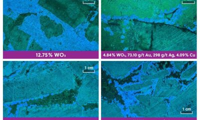 Fig 3 (UV core photos): coarse scheelite from APC-162, select sample grades up to 12.75% WO3 and one interval 4.84% WO3, 73.10 g/t Au, 298 g/t Ag, 4.09% Cu.