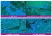Fig 3 (UV core photos): coarse scheelite from APC-162, select sample grades up to 12.75% WO3 and one interval 4.84% WO3, 73.10 g/t Au, 298 g/t Ag, 4.09% Cu.