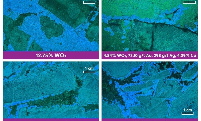 Fig 3 (UV core photos): coarse scheelite from APC-162, select sample grades up to 12.75% WO3 and one interval 4.84% WO3, 73.10 g/t Au, 298 g/t Ag, 4.09% Cu.