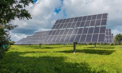 Solar energy panels in an open field.